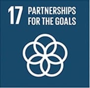 Partnerships For The Goals